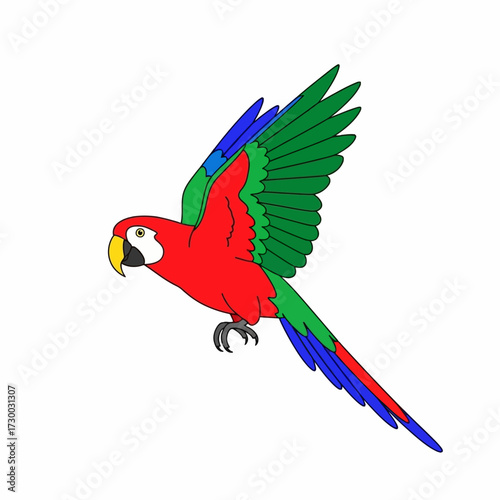 Colorful Macaw Parrot Flying with Wings Spread Wide Illustration.