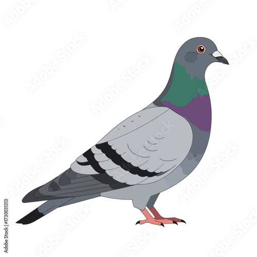 Detailed illustration of a pigeon showcasing its vibrant plumage and features.