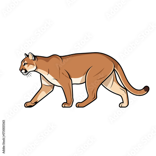 Illustration of a Mountain Lion Walking.