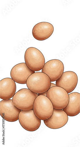 Pile of brown eggs stacked unevenly on a white background.