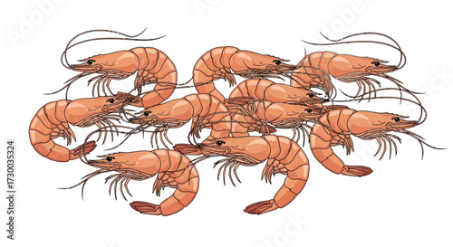 Group of cooked shrimp isolated on white background seafood illustration.