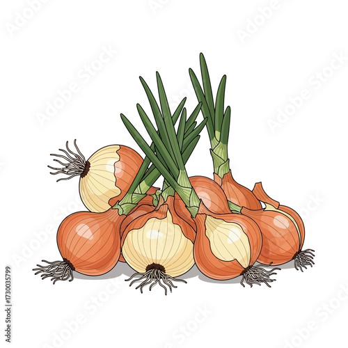 Several onions with green stalks and roots are piled together on white.