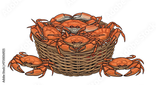 Crabs in a woven basket seafood crustaceans orange color isolated on white.