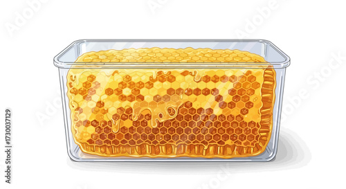 Honeycomb in a clear plastic container on a white background.