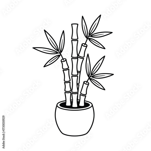 Outline drawing potted bamboo plant minimalist style natural decor houseplant indoor greenery zen symbol oriental foliage