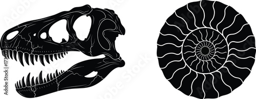Dinosaur Skull Fossil Silhouette Vector
