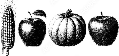 Corn, apple, and pumpkin vector illustration in black and white. Simple food set depicting natural items.