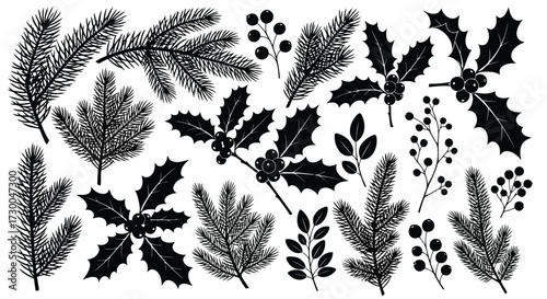 Vector illustration of vector art of set of christmas tree branches and holly collection of winter plants for festive design and decoration