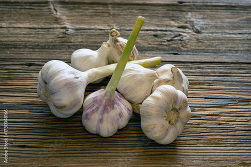 Fresh garlic on rustic wood - fine art food