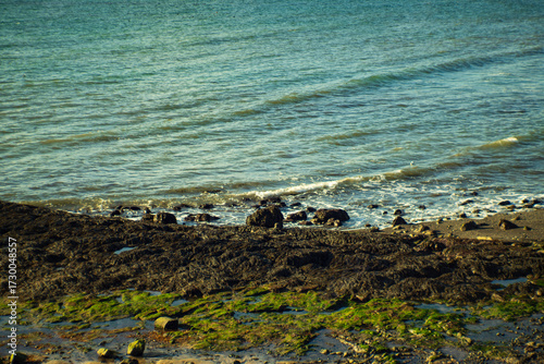 Rocky Icelandic shoreline with seaweed and waves