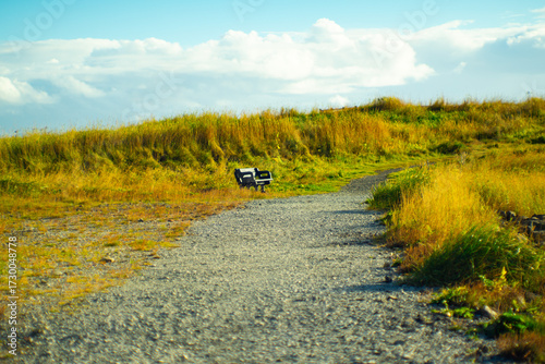 Lonely bench on gravel path in Icelandic meadow