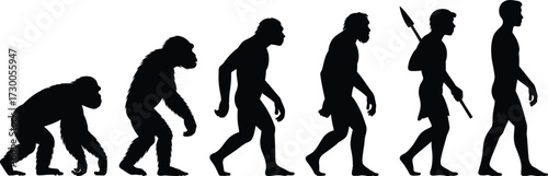 Silhouette progression of human evolution from ape to modern man