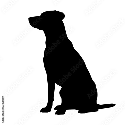 Vector art of silhouette of a dog sitting, showcasing its elegant posture and defined features, capturing the essence of canine companionship and loyalty
