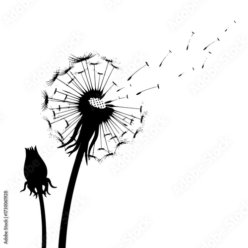 Vector art of a delicate silhouette of a dandelion, its seeds gracefully dispersing in the wind, symbolizing freedom and change, , creating a captivating image
