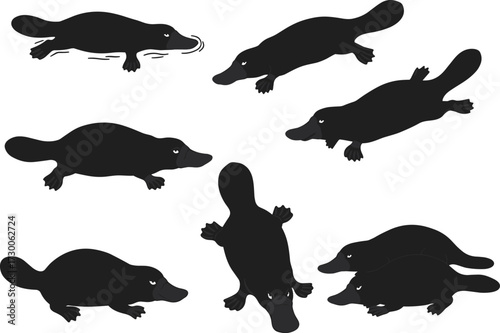 Silhouette vector illustration of platypus Australian wildlife animals swimming and walking in various poses black monotone design isolated on white background