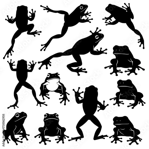 Vector art of a dynamic silhouette of various frogs, , showcasing their diverse poses and movements, capturing the essence of amphibian agility and natural charm