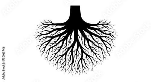 Vector art of a network of tree roots extends downwards, symbolizing growth, stability, and interconnectedness, the intricate pattern showcases natures design