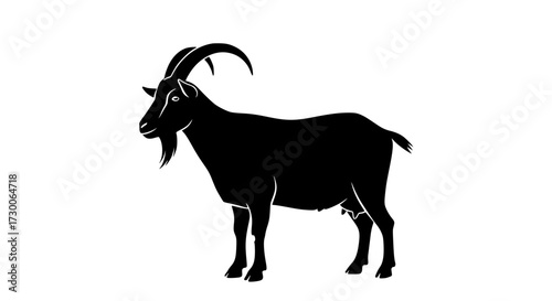Vector art of a black silhouette of a goat standing, , showcasing its horns, beard, and udder, representing livestock, agriculture, and rural life