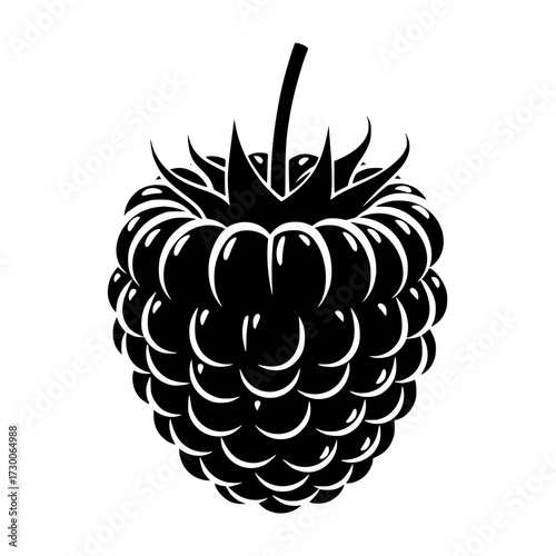 Vector art of detailed monochrome illustration of a raspberry, showcasing its intricate texture, juicy appearance, and potential as a flavorful ingredient
