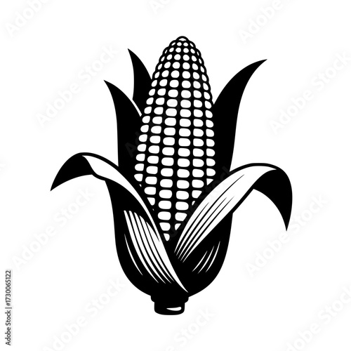 Illustration of a corn cob, showcasing the kernels and husk, evoking a sense of harvest and agricultural abundance, perfect for foodrelated designs