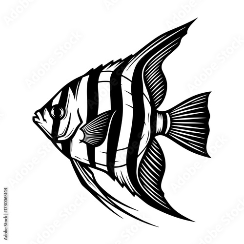 Vector art of detailed illustration of an angelfish, showcasing its distinctive stripes and graceful fins, ideal for marine biology and aquariumthemed designs