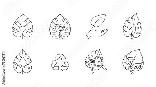 Set of eight hand-drawn botanical sketches of diverse leaves with intricate vein details vector