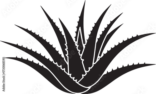 Aloevera silhouette vector illustration