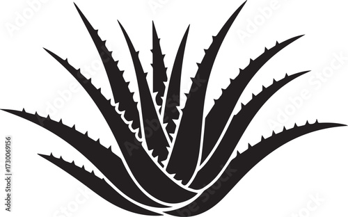 Aloevera silhouette vector illustration