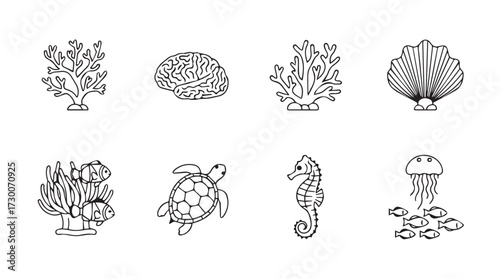Collection of detailed line art ocean creatures and coral elements for marine themed designs vector