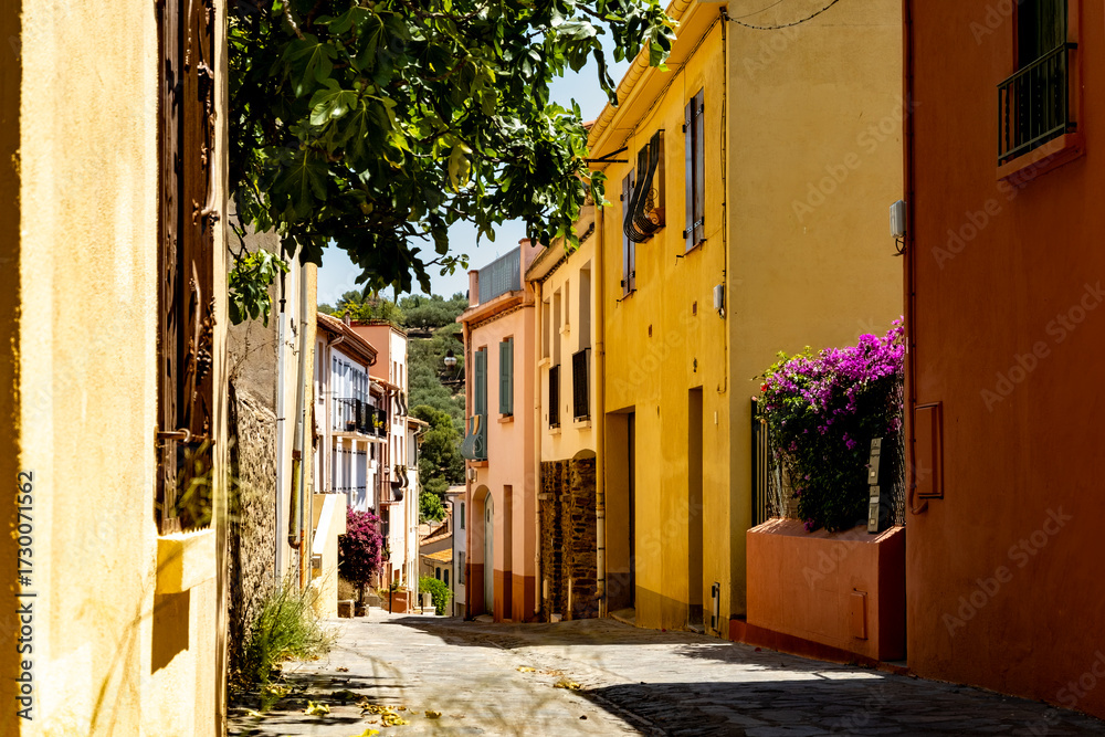 Obraz premium View of colourful Collioure, narrow streets and yellow, pink, orange houses, summer vacation destination town with historical buidings and beaches, Pyrenees-Orientales, France