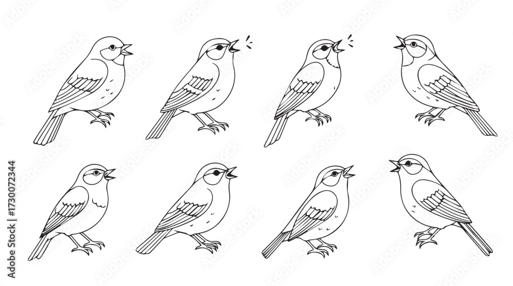 Fototapeta premium Collection of eight detailed sparrow illustrations showing different poses and angles realistic line art vector
