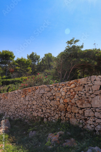 Steinmauer 