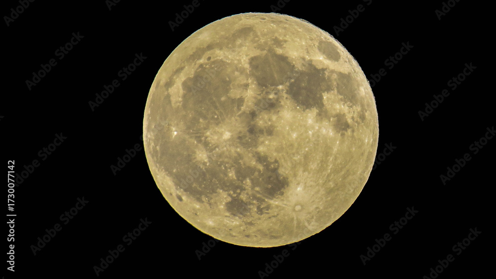 Obraz premium full moon in the night