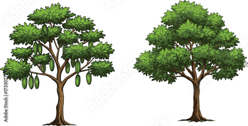 Fruit-bearing tree with elongated green gourds beside non-fruiting tree in seasonal contrast, botanical comparison, nature diversity, and environmental symbolism