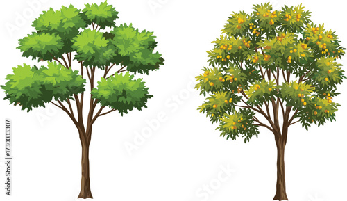 Two contrasting trees with seasonal foliage and fruiting detail, symbolizing nature’s diversity, transformation, and environmental storytelling in vector silhouette style