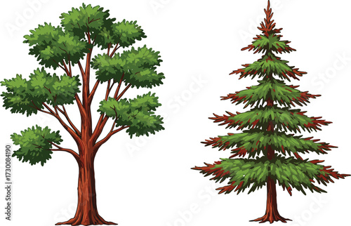 Broadleaf and coniferous trees side by side, illustrating botanical diversity, tree morphology, and environmental storytelling in vector silhouette illustration style