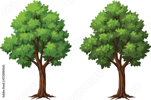 Two leafy trees with thick trunks and varied green foliage on white background, botanical vector for nature contrast and design use