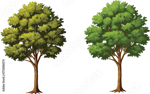 Two trees with contrasting foliage colors and similar structure, symbolizing seasonal variation, botanical diversity, and environmental storytelling in vector art