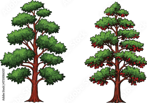 Two trees with green foliage and red fruit contrast, symbolizing seasonal diversity and botanical storytelling in vector silhouette illustration style