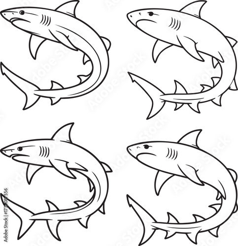 Set of Shark Outline vector illustration isolated On Transparent Background