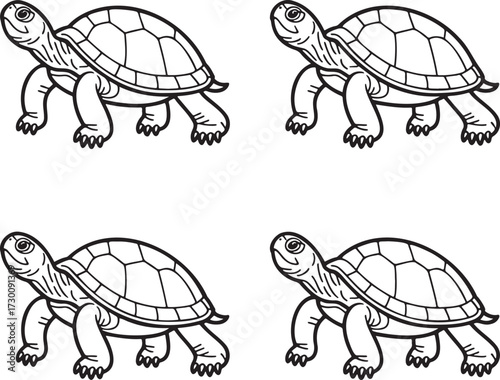 Set of Tortoise Outline vector illustration isolated On Transparent Background