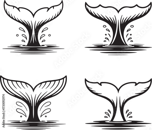 Set of Whale tail Outline vector illustration isolated On Transparent Background
