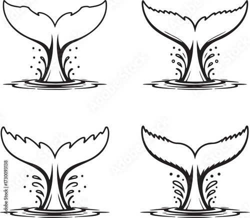 Set of Whale tail Outline vector illustration isolated On Transparent Background