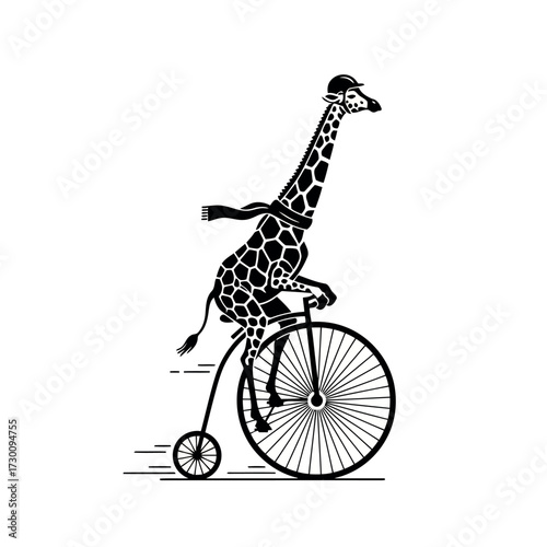 Billede på lærred Giraffe wearing a helmet and scarf riding a penny-farthing bicycle Keywords: gir