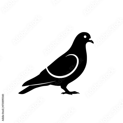 Vector art of a sleek and elegant pigeon stands gracefully, its feathers a deep shade of black, its form a symbol of peace and communication