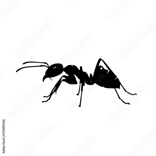 Vector art of silhouette of an ant, showcasing its intricate body structure, slender legs, and delicate antennae, a common insect found in various environments