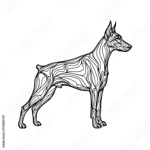 Vector art of elegant doberman silhouette, , showcasing its sleek physique and noble stance, a testament to the breeds grace and powerful presence