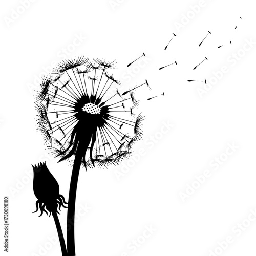 Vector art of a dandelion, with seeds blowing in the wind, symbolizing fragility, wishes, and the ephemeral nature of life, often associated with spring