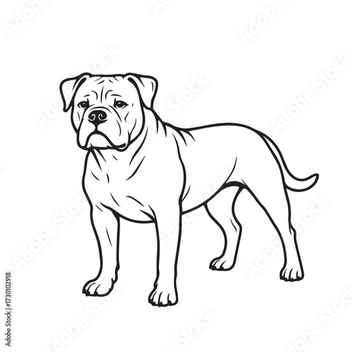 Simple vector depiction of an American Bulldog, entirely black and white, outlined with sharp black lines, emphasizing strength, clarity, and strong visual impact.