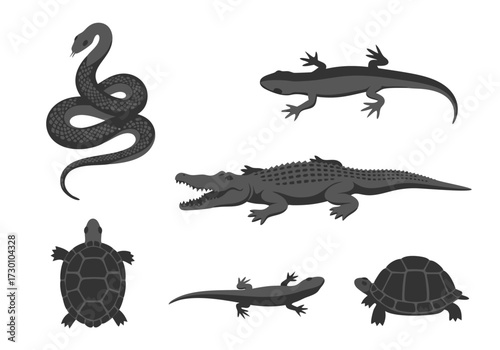 A collection of six monochrome reptile and amphibian animal icons isolated on white background